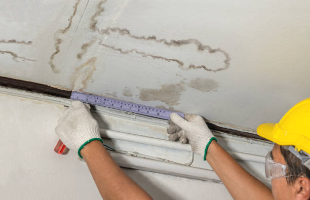 Reliable Water Damage Repair contractor in Woodhaven, MI by Local Water Damage Repair